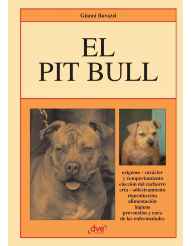 El Pit Bull