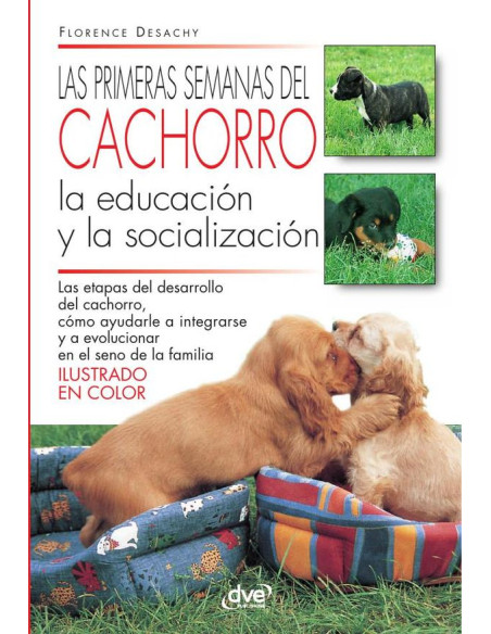 Las primeras semanas del cachorro