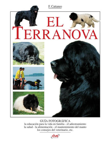 El terranova