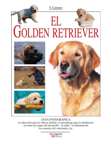 El Golden retriever