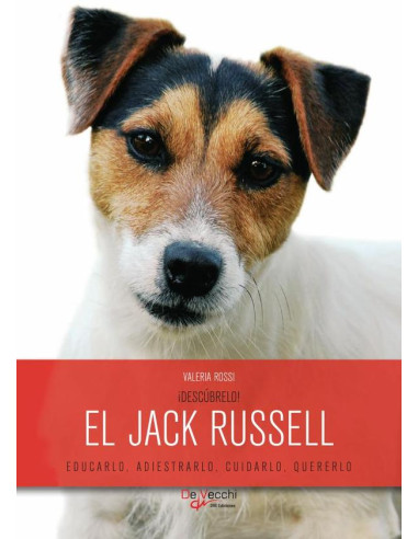 ¡Descúbrelo! El Jack Russell