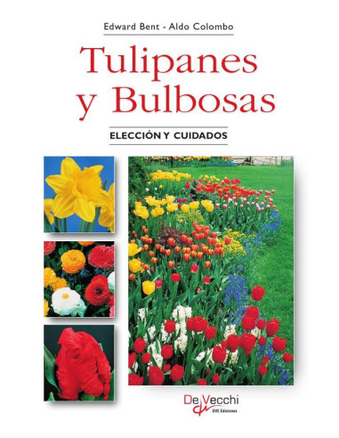 Tulipanes y Bulbosas