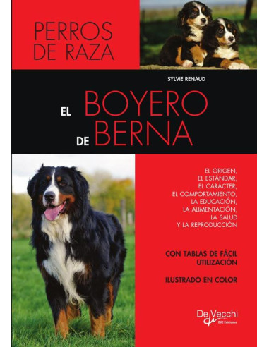 El boyero de Berna