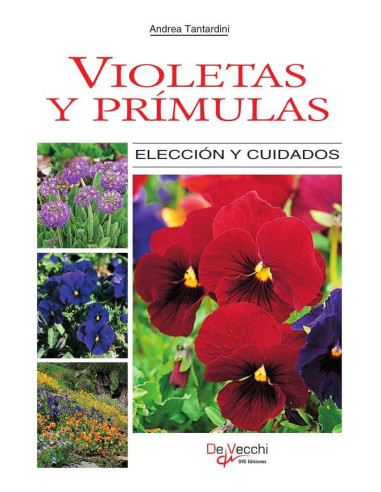 Violetas y prímulas