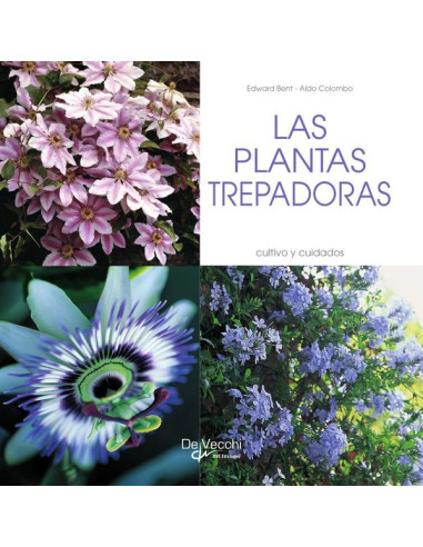 las plantas trepadoras