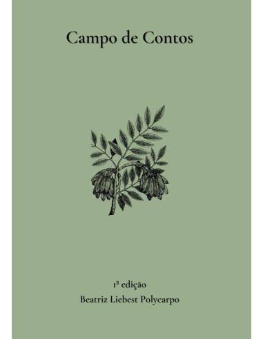 Campo De Contos