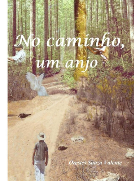 No Caminho, Um Anjo