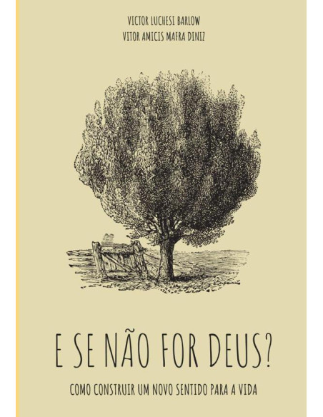 E Se Não For Deus?:Como construir um novo sentido para a vida