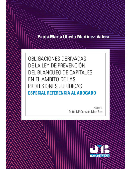 Obligaciones derivadas de la Ley de prevención del blanqueo de capitales en el ámbito de las profesiones jurídicas:Especial referencia al abogado