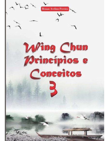 Wing Chun Princípios E Conceitos 3