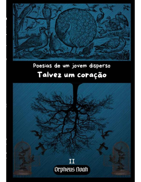 Poesias De Um Jovem Disperso Ii:Talvez um coração