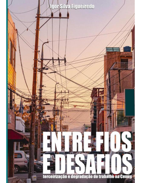 ?entre Fios E Desafios?:terceirização e degradação do trabalho na Cemig?