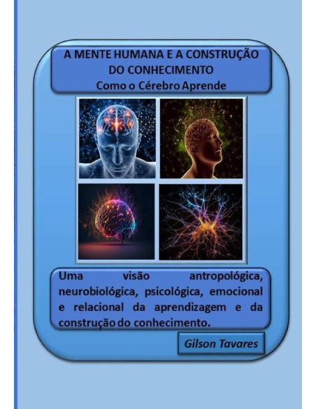 A Mente Humana E A Construção Do Conhecimento - Como O Cérebro Aprende:Uma visão antropológica, neurobiológica, psicológica, emocional e relacional da aprendizagem e da construção do conhecimento.