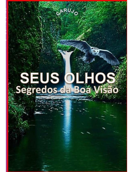 Seus Olhos:Segredos da Boa Visão