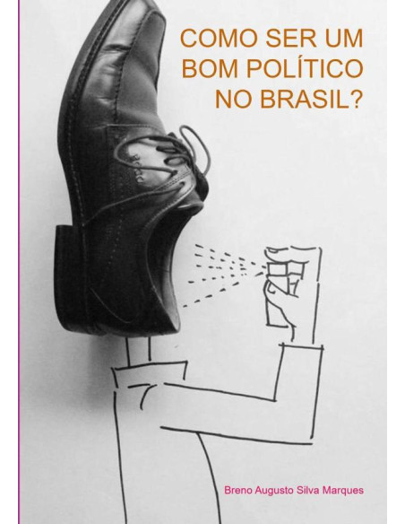 Como Ser Um Bom Político No Brasil?