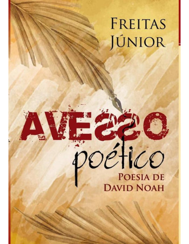 Avesso Poético:A POESIA DE DAVID NOAH