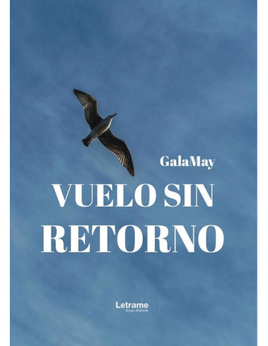 Vuelo sin retorno