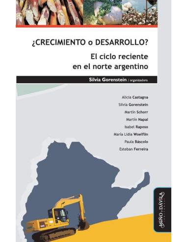 Crecimiento o desarrollo? El ciclo reciente en el norte argentino