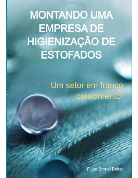 Montando Uma Empresa De Higienização De Estofados:Um setor em franco crescimento!