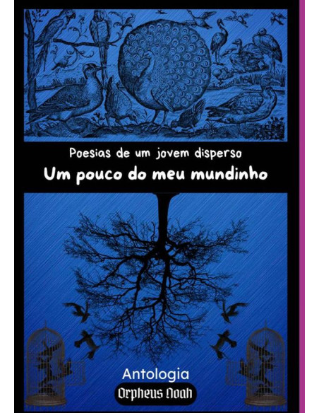 Poesias De Um Jovem Disperso:Um pouco do meu mundinho