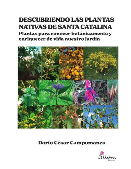 Descubriendo las plantas nativas de Santa Catalina:plantas para conocer botánicamente y enriquecer de vida nuestro jardín