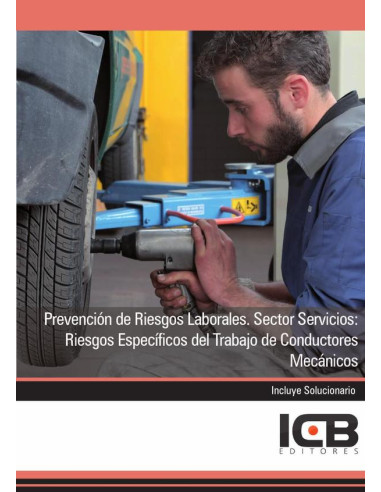 Prevención de Riesgos Laborales. Sector Servicios: Riesgos Específicos del Trabajo de Conductores Mecánicos