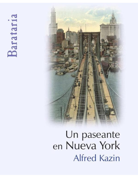 Un paseante en Nueva York