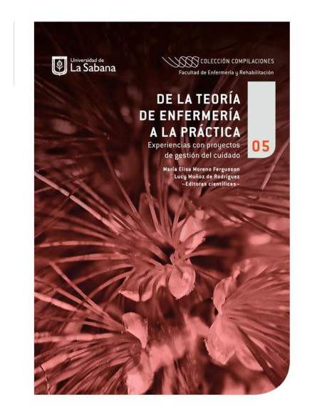 De la teoría de enfermería a la práctica:Experiencias con proyectos de gestión del cuidado