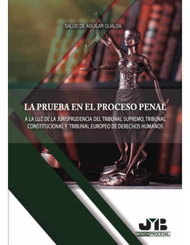 La prueba en el proceso penal.