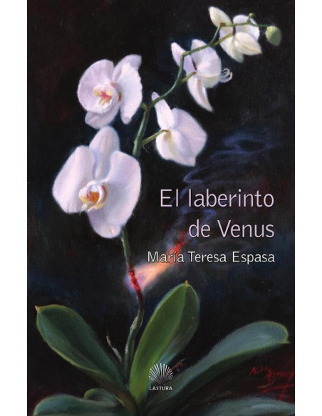 El laberinto de venus 