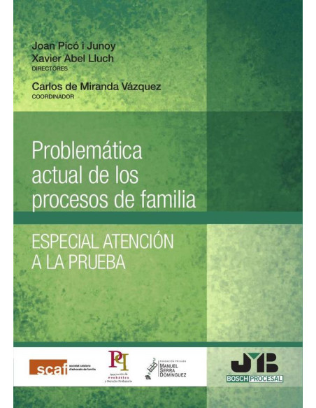 Problemática actual de los procesos de familia. :Especial atención a la prueba.