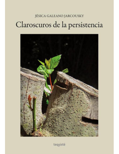 Claroscuros de la persistencia