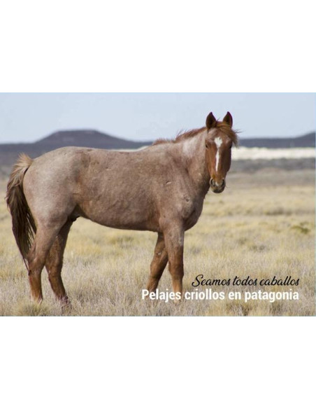 Pelajes criollos en Patagonia