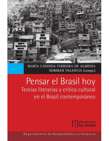 Pensar el Brasil hoy:Teorías literarias y crítica cultural en el Brasil contemporáneo