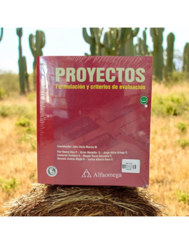 Proyectos Formulacion Y Criterios De Evaluacion