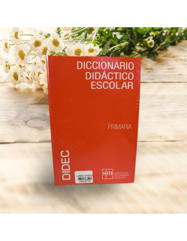 Diccionario Didactico Escolar