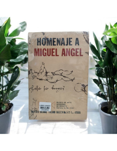 Homenaje A Miguel Angel