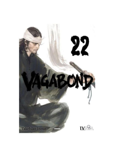 Vagabond 22