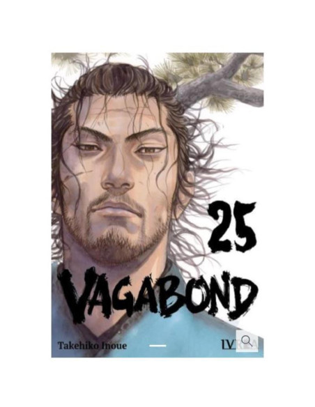 Vagabond 25