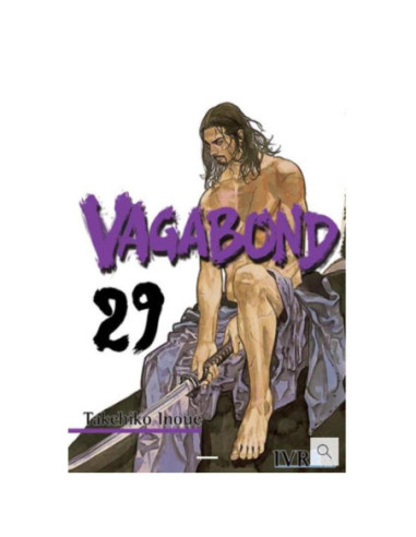 Vagabond 29