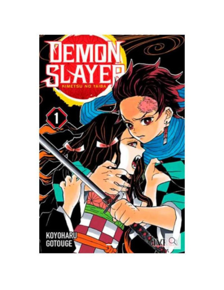 Demon Slayer - Kimetsu No Yaiba 01