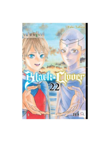 Black Clover 22