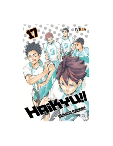 Haikyu!! 17