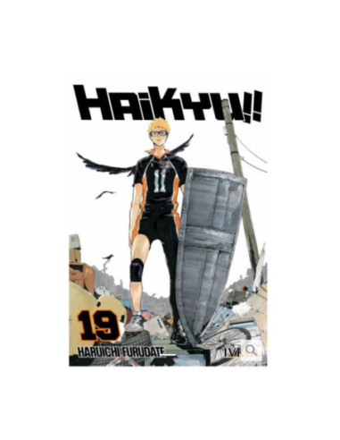 Haikyu!! 19