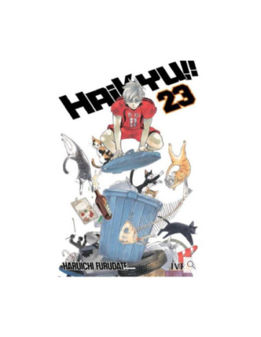 Haikyu!! 23