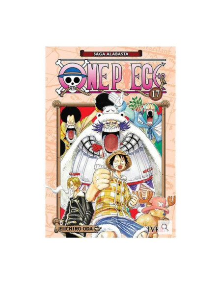 One Piece 17