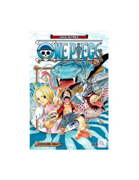 One Piece 29