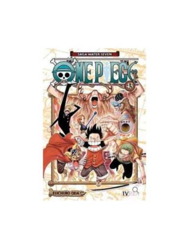 One Piece 43