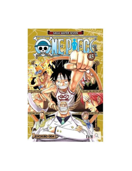 One Piece 45