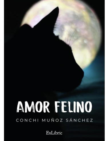 Amor felino